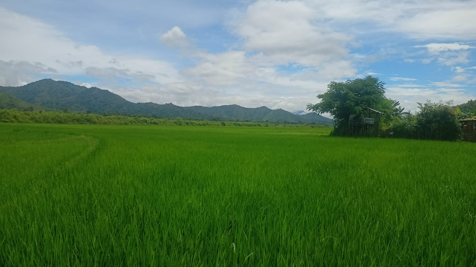 Lou Sangam 3 at Yumnam Khunou